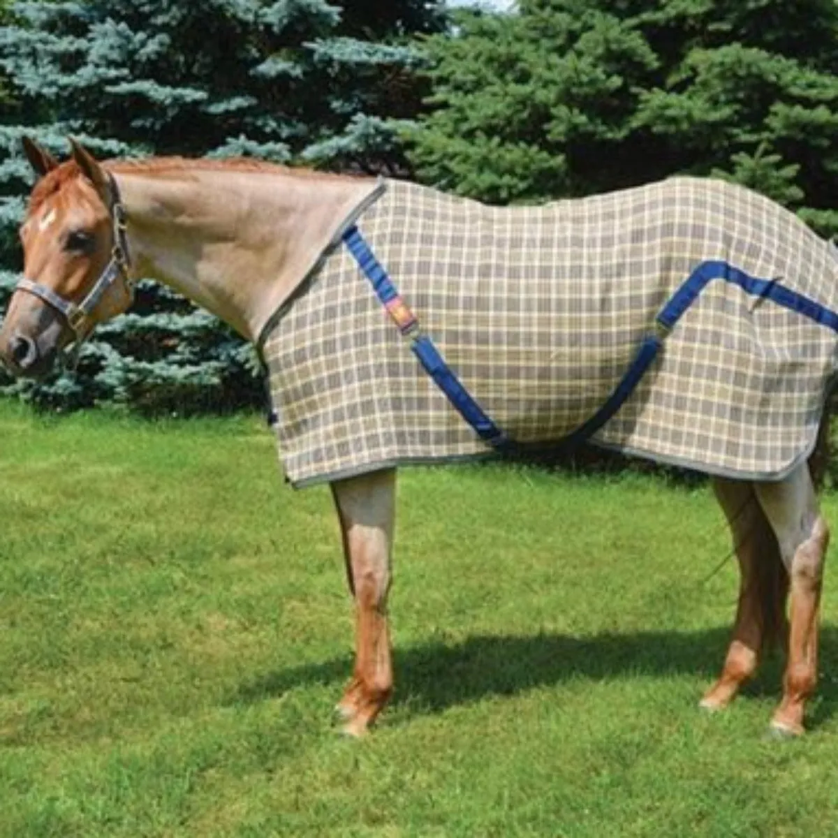 5/A Baker Stable Sheet