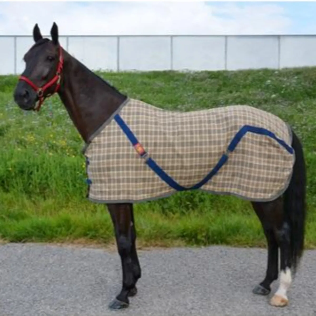 5/A Baker Stable Sheet